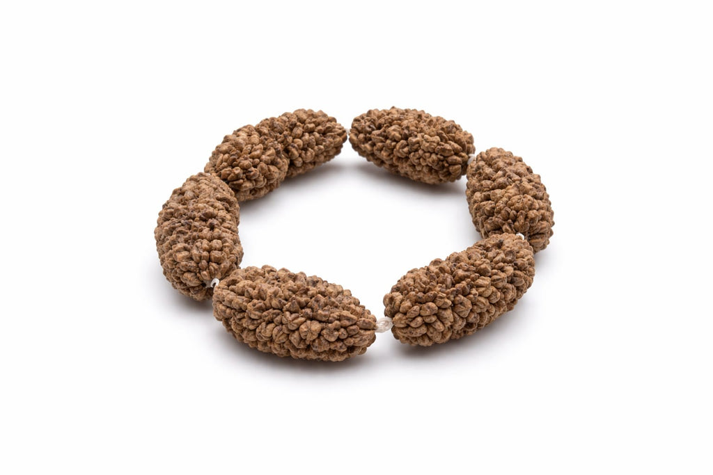 TWO MUKHI NATURAL RUDRAKSHA BRACELET